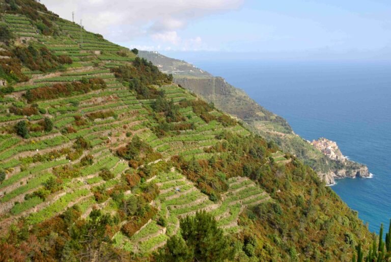 Cinque Terre 4