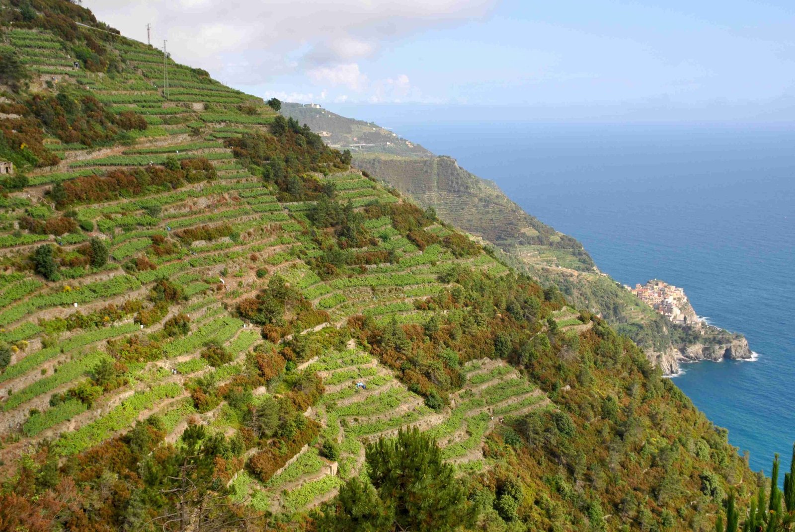 cinque terre hike status